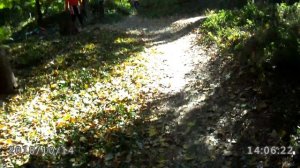 " Молодым везде у нас дорога ; старикам всегда у нас почет...."