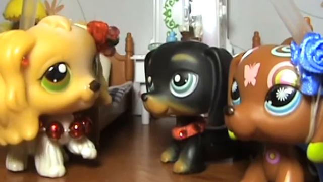 LPS сериал: " Реалити шоу" 15 выпуск смотреть онлайн