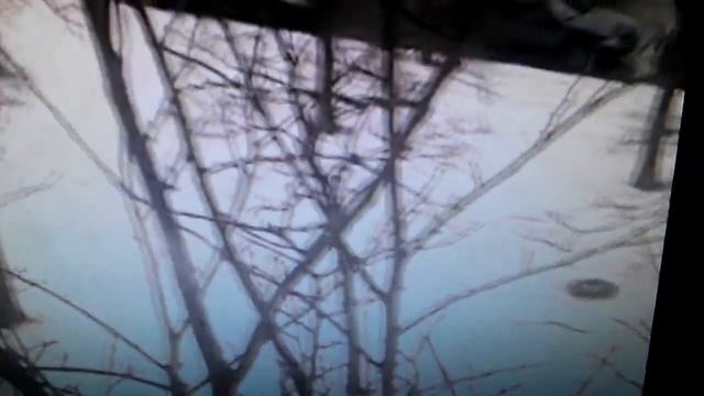 23.02.17 - Muffin and Dove смотреть онлайн