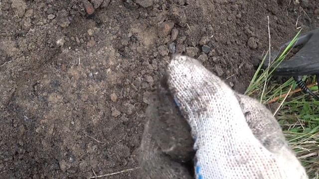 Коп с металлоискателем на фундаменте и озере за 400км от Москвы. Грибы. Skibidi Challenge смотреть онлайн