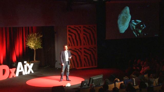 Insuring Planet Earth | Ian Carnelli | TEDxAix смотреть онлайн