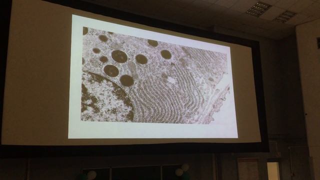 Консультация к экзу смотреть онлайн