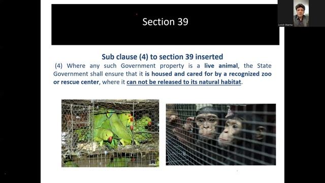 Webinar: Introduction to the Wildlife (Protection) Amendment Act, 2022 смотреть онлайн