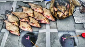 ОГРОМНЫЕ ЛЕЩИ ПОДНИМАЮТ ПОПЛАВКИ! Ловля леща на поплавок