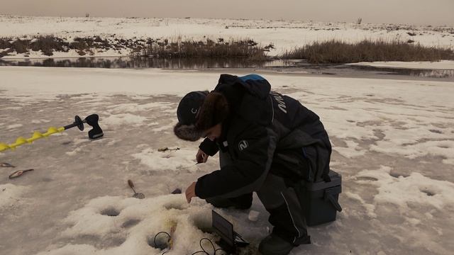 Тонкая леска против горбатых окуней смотреть онлайн
