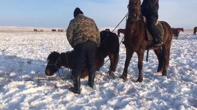 Кіші жүз. ТАМА смотреть онлайн