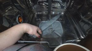 Обзор нашей посудомоечной машины