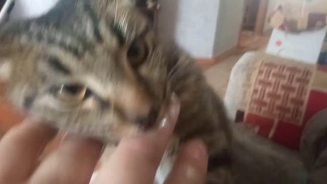 2 апреля 2023 г. смотреть онлайн