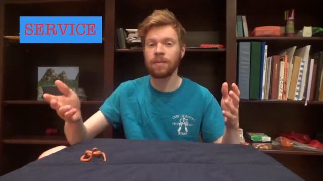 What's Snakin? 7/6/2020 смотреть онлайн