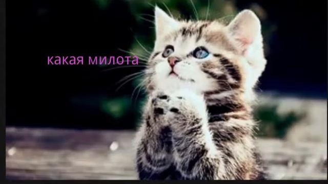 Красивые картинки😉😉 смотреть онлайн