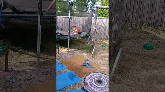 бабуин пати мем. смотреть онлайн