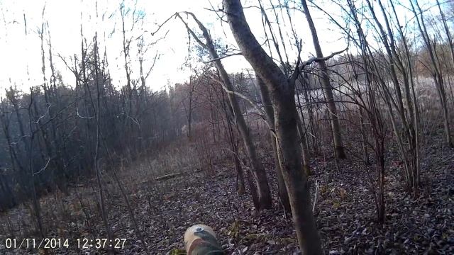 игра лт 01-11-2014 # 2 смотреть онлайн