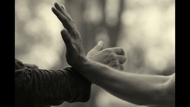 Wing Chun. Вечной Весны Подкаст. Макина Мария Филиал в Самаре. Вин Чун для Зрелых. смотреть онлайн