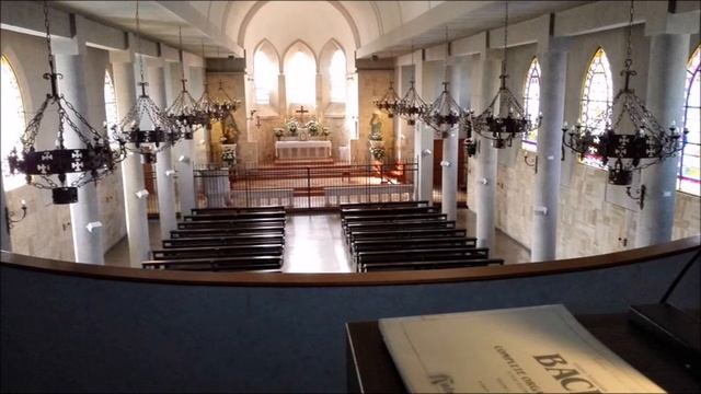 Salve Regina Simplex, "Con Torrentes de Luz" & Improvisación смотреть онлайн