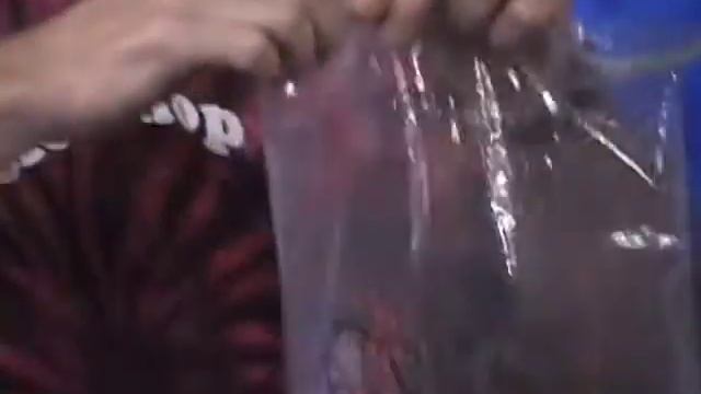 Everyday Science -- Pressure II Segment 7: Pressure and Elevation смотреть онлайн