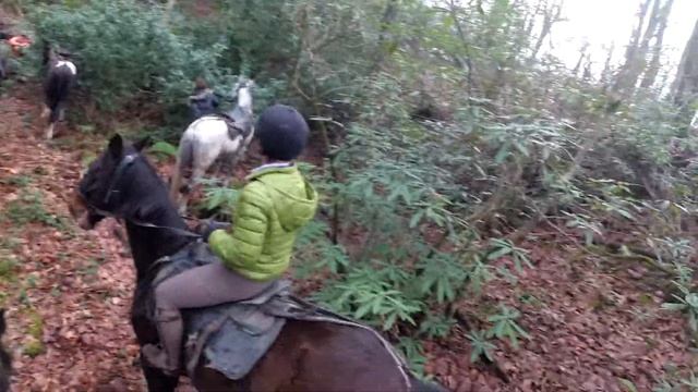 Большой круг ч. 2 смотреть онлайн