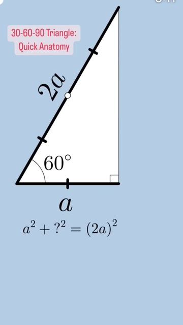 30-60-90 triangle quick anatomy смотреть онлайн