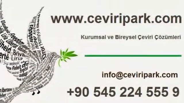 Если нужен переводчик в Турции ? В Стамбуле? смотреть онлайн