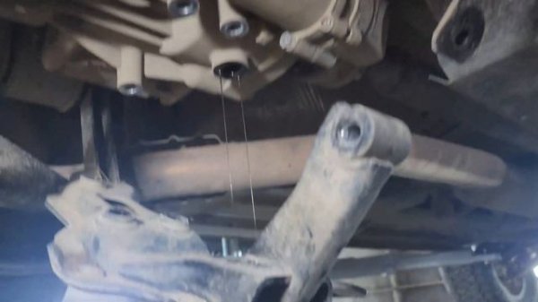 Замена масла в раздатке, редукторе и муфте Haldex Haval Dargo