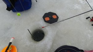 Поимка форели на пасту на поставушку со льда