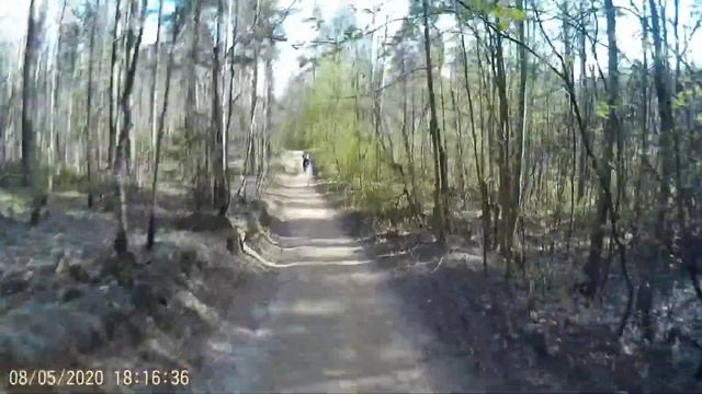 Покатушки бензовел vs электровел смотреть онлайн