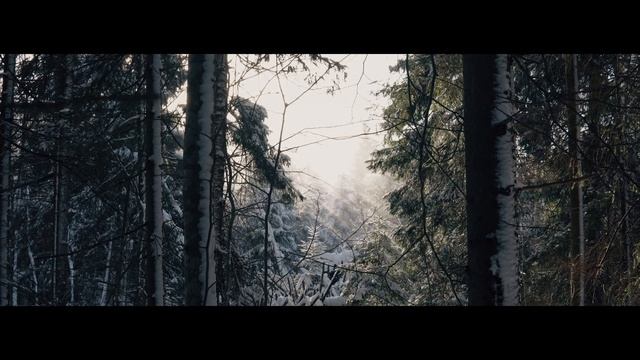 Лесные зарисовки, зимний ветренный лес | Эпизод 15 смотреть онлайн