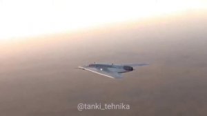 Беспилотный летательный аппарат Сухой С-70 «Охотник»