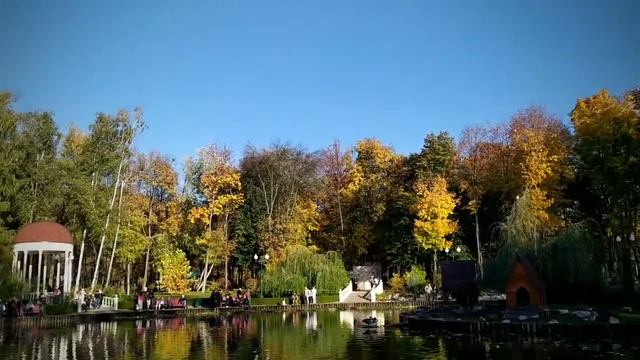 Золотая осень 2019 в Харькове смотреть онлайн