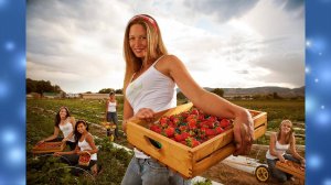 САМЫЕ БЫСТРЫЕ И ПРИЧУДЛИВЫЕ РАБОТНИКИ ✦ 8 ✦ Lucky Tech