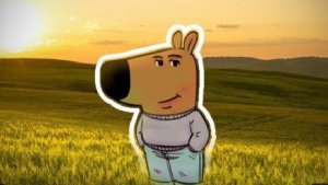 чиловых парень откуда мем?