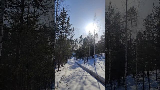 По Дорожке мы Идем смотреть онлайн