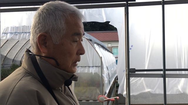 パイオニアの生産者盆栽職人聞く！！紅葉盆栽の肉巻きの傷が綺麗になる方法・三河黒松盆栽小さい取り木いつ行う・やじま園＠盆栽タネ【Bonsai】【園芸】【ガーデン】【盆栽】 смотреть онлайн