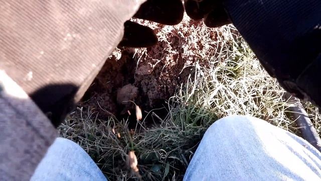Too Cold For Detecting But I Went Anyway смотреть онлайн