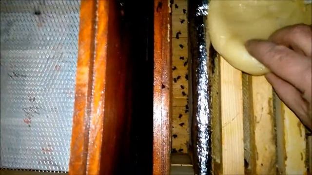 Пчеловодство зимовка пчел 23.01.2014. г.Beekeeping Wintering of bees 01.23.2014. смотреть онлайн