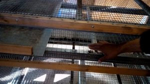 Обзор и размеры клетки для содержания 30 бройлеров