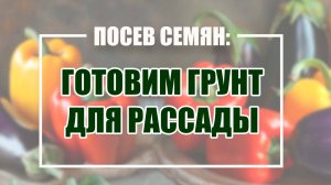 Посев семян перцев и баклажанов: часть1 "ПОДГОТОВКА ГРУНТА"