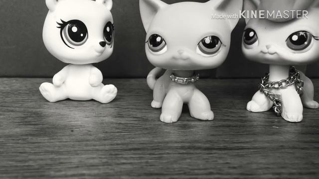 Lps сериал: « Переродился в другом мире» 2 серия ,, Я покусился на крон принца?!’’ смотреть онлайн