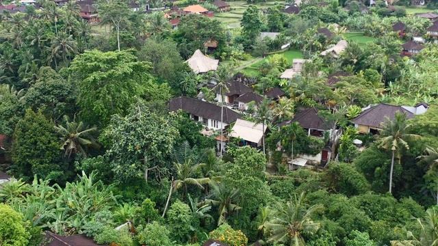 The ONLY Tiny House in Bali (was it worth it?) смотреть онлайн