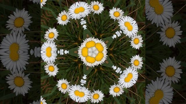 Spiral Up смотреть онлайн