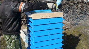 Оптимизация покраски ульев