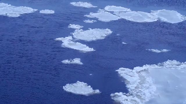 лед смотреть онлайн