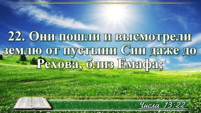 ВидеоБиблия Книга Числа без музыки глава 13 Бондаренко смотреть онлайн