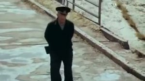 Без году неделя