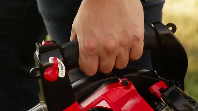 CRAFTSMAN 27-cc 2-cycle 205-MPH 450-CFM Gas Leaf Blower (w/ Vacuum Kit)