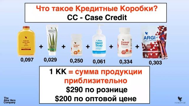 Возможность начать свой бизнес онлайн / Владимир Гринь смотреть онлайн