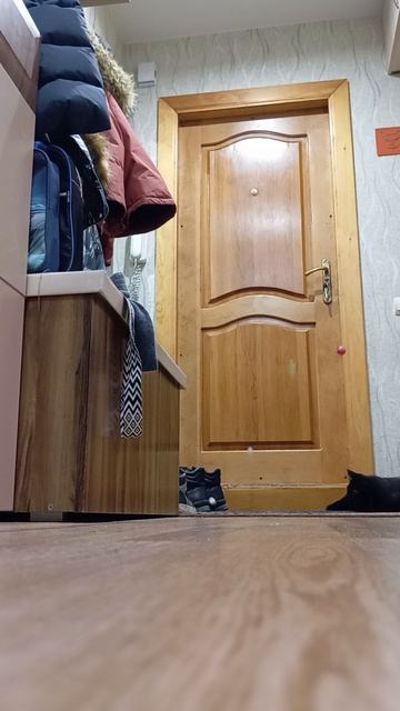 😎😇Я СИГМА смотреть онлайн