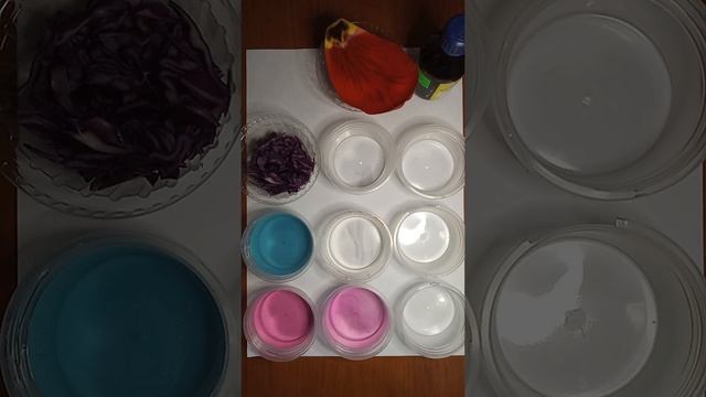 Домашній експеримент. Індикатори. 7 клас. смотреть онлайн