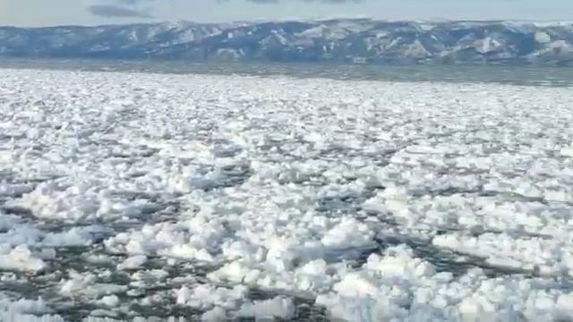 Изюбрь во льдах Байкала. смотреть онлайн