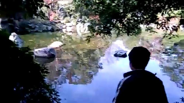 Fukuoka Tea Garden Visit (1), 2008 смотреть онлайн