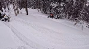 Снегоход АОДЕС СибириаКросс СВТ лютый пухляк, с пассажиром.